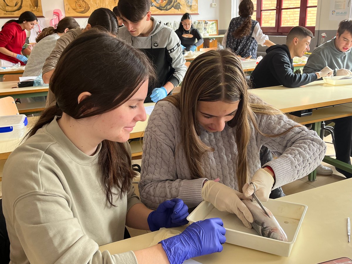 IES Leonardo de Chabacier tweet media