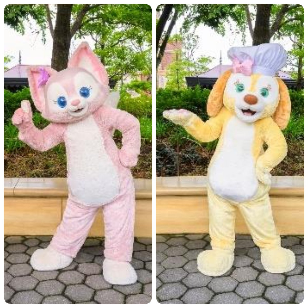 TDR_info #TDS_now ━━━━━━━━━━━━ #東京ディズニーシー
