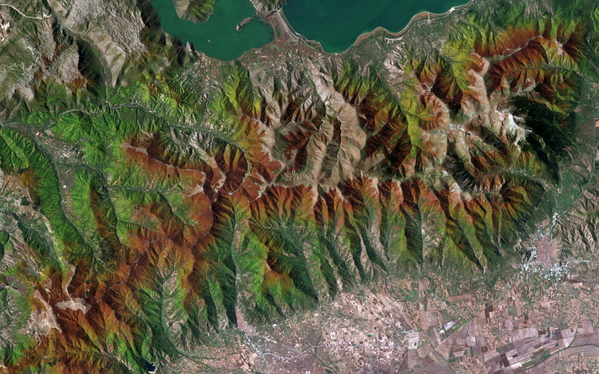 Alive Universe tweet media