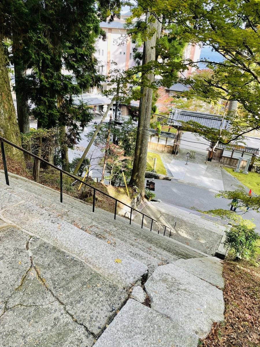 sakaguchisyoten's tweet photo. 比叡山頂は行ったけど
比叡山延暦寺は行ってない
バスで行けるルートあるやん！
ってことで行ってきました
紅葉はまだでしたが
見るところたくさん！
広くて急勾配な階段にクラクラ…
全部回れずまた今度
帰りは滋賀側に出て帰宅
京都側は混むのでこのルートで
また来よう〜 https://t.co/XiKV0qABsx