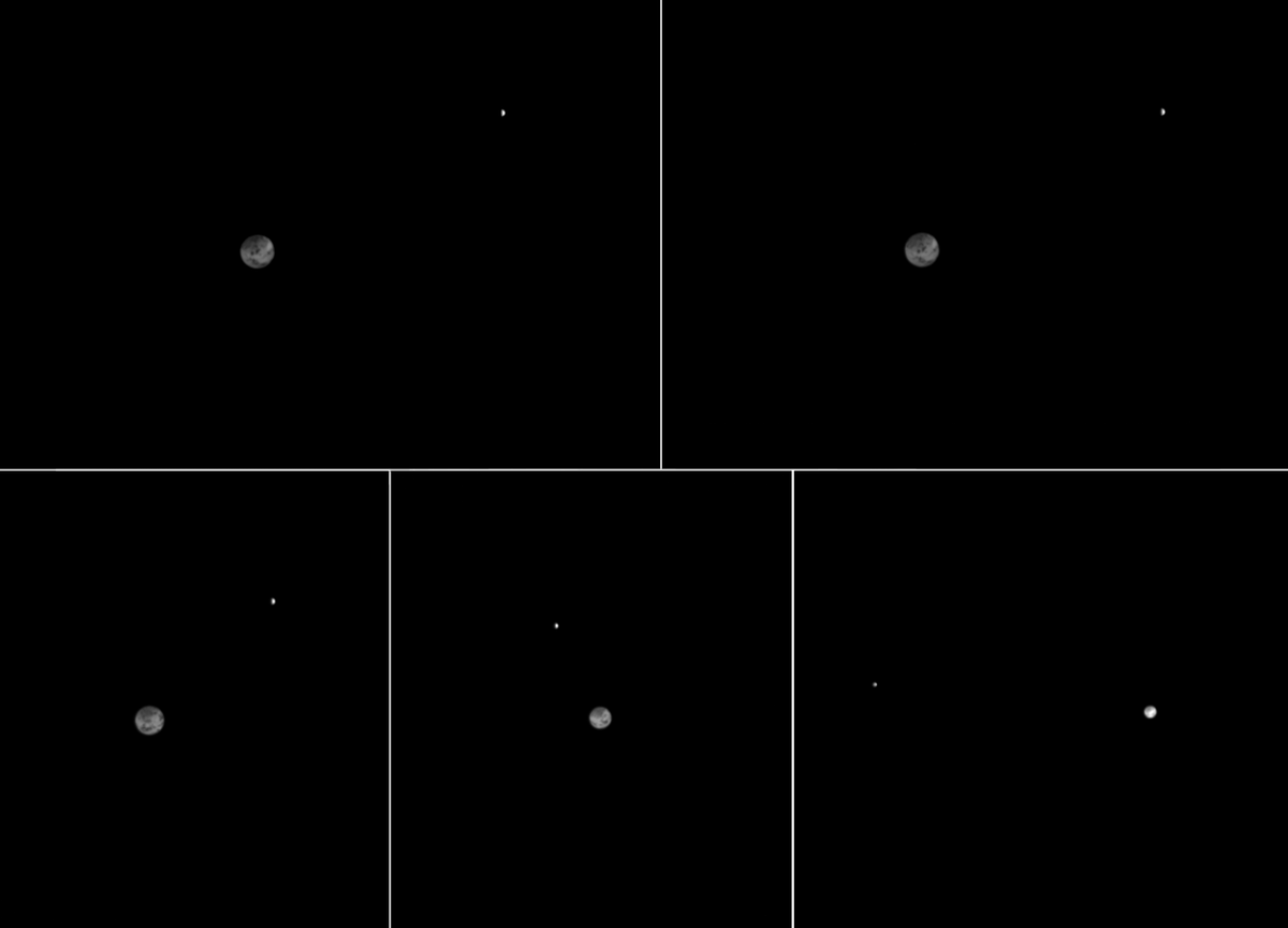 Alive Universe tweet media