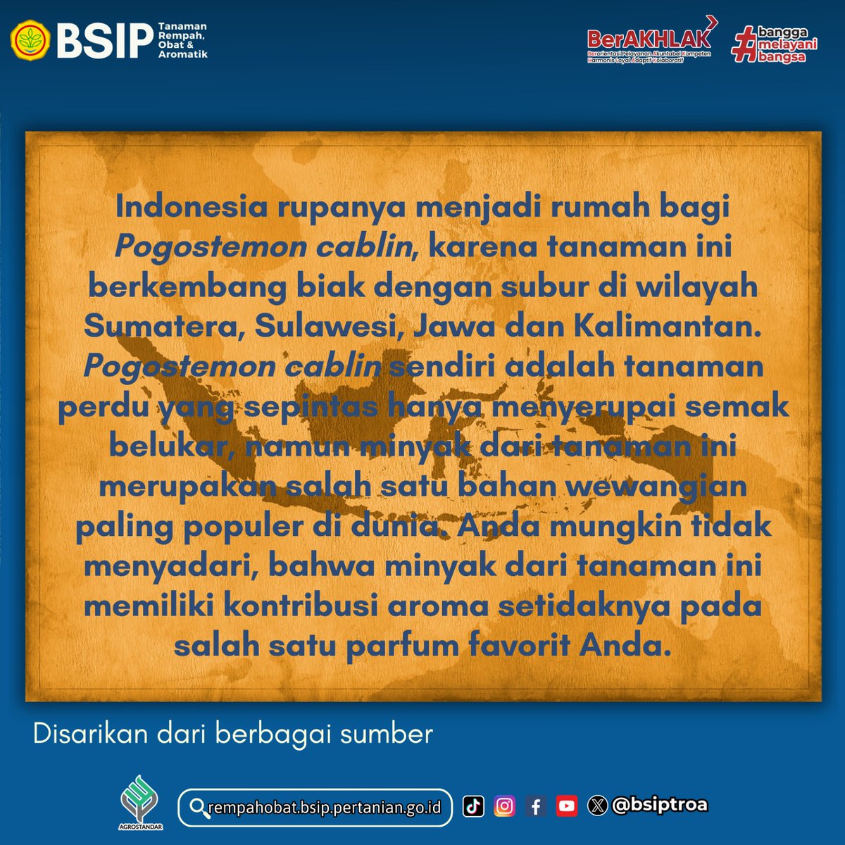 brmprempahobat's tweet image. Indonesia, sebagai salah satu penghasil nilam terbesar di dunia, memiliki potensi besar untuk terus mendukung kebutuhan industri global dengan bahan alami berkualitas tinggi. Nilam adalah "emas hijau" yang bisa mendorong kesejahteraan petani dan ekonomi daerah.
#libraryupdate