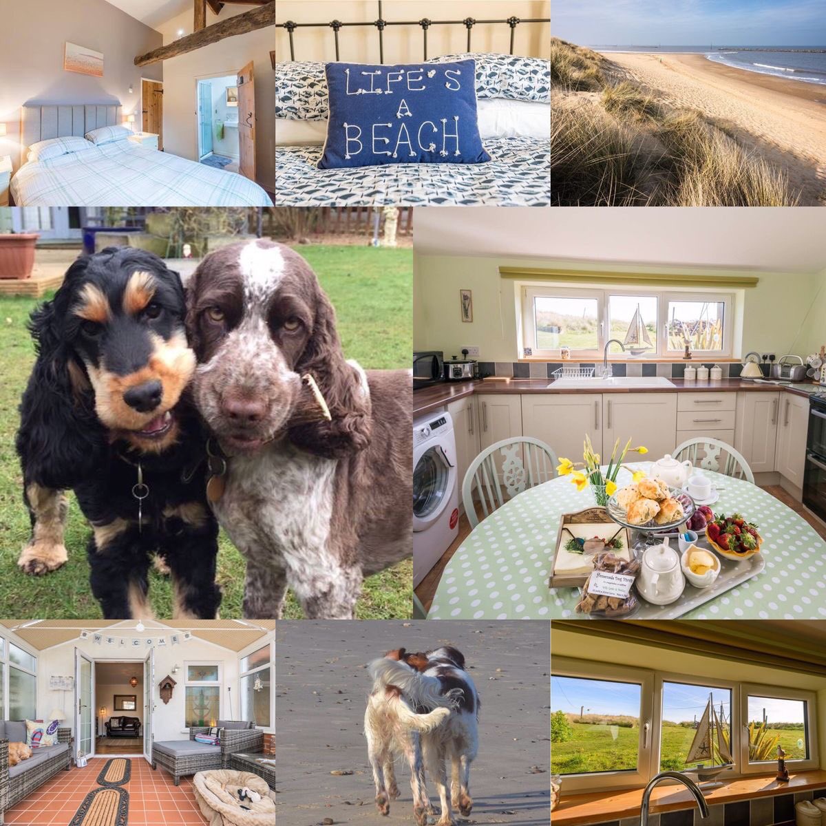 Dotty4Paws (@dotty4paws) on Twitter photo For a truly #dog-friendly #holidaycottage on the beautiful #Norfolk coast sniff out East Ruston Cottages where your four legged friends go FREE 🐾💕
Book with the code DOTTY4PAWS and get 10% off
dotty4paws.co.uk/businesses/lis… …
#Earlybiz <a href="/EastRustonCotts/">East Ruston Cottages</a> For a truly #dog-friendly #holidaycottage on the beautiful #Norfolk coast sniff out East Ruston Cottages where your four legged friends go FREE 🐾💕
Book with the code DOTTY4PAWS and get 10% off
dotty4paws.co.uk/businesses/lis… …
#Earlybiz <a href="/EastRustonCotts/">East Ruston Cottages</a>