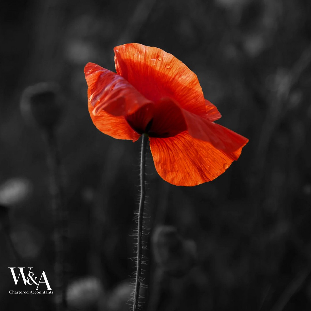 WAMorecambe's tweet photo. #RemembranceDay #WatersAndAtkinson #LestWeForget https://t.co/Eek5VLzEvZ
