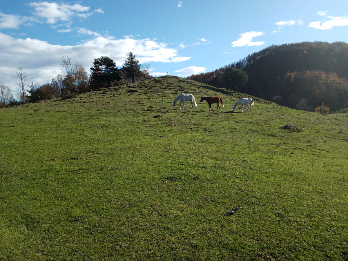Coll de Malrem.
#altagarrotxa