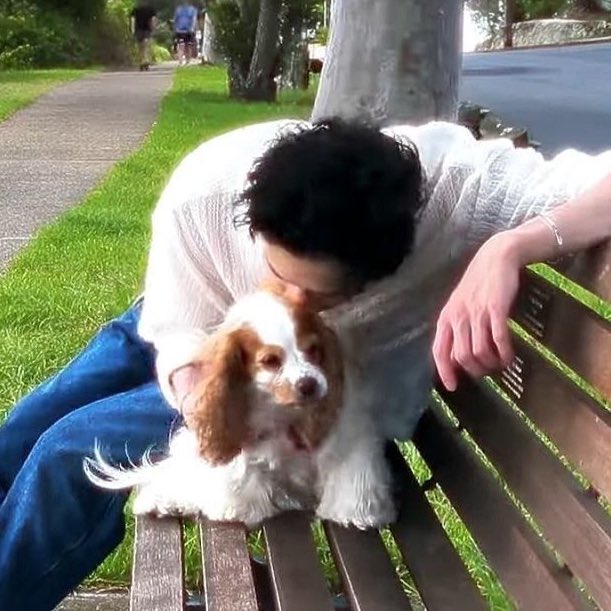 afternoon, im going out to touch grass please pray for me and my dog. i promise to bring everyone a patch