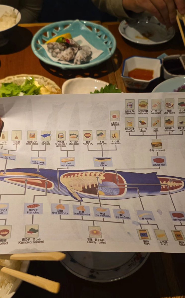 Me parecía que esta carne en Japón tenía un sabor raro… Perdóname Wailord 🐋🐳