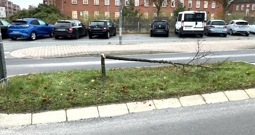 Hansestadt: Mehrfach illegal Bäume im öffentlichen Raum gefällt: In den letzten beiden Wochen haben Unbekannte mehrfach Bäume im öffentlichen Raum gefällt und liegengelassen. Die Bäume fielen auf… dlvr.it/TG6SLK #Kultur #Lüneburg #Hansestadt #Naturschutz #Rechtliches