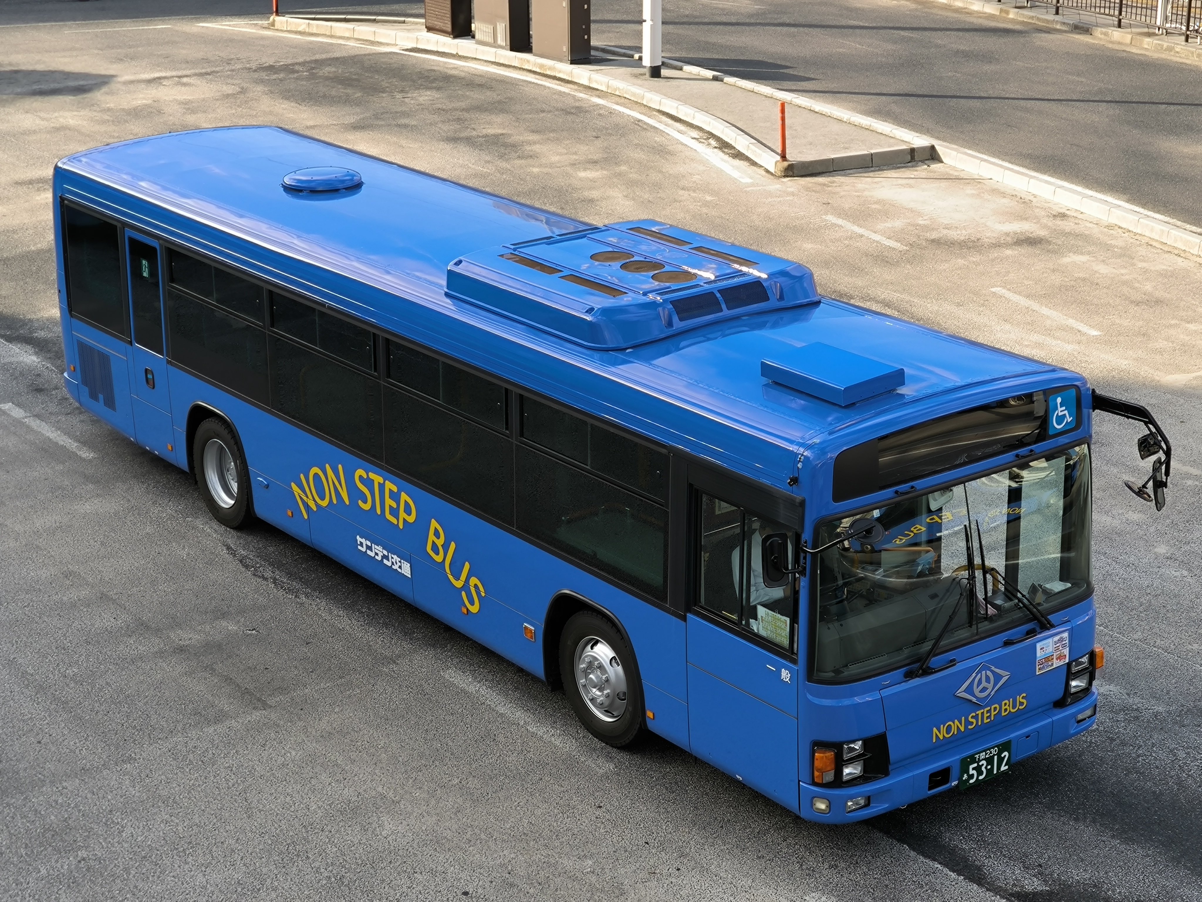 【匿名配送】③アガべ　太陽神錦　白中斑　TC 錦鯉 販売 鯉 通販 ネット販売 絶品立て鯉 角銀浅黄 54cm BNT