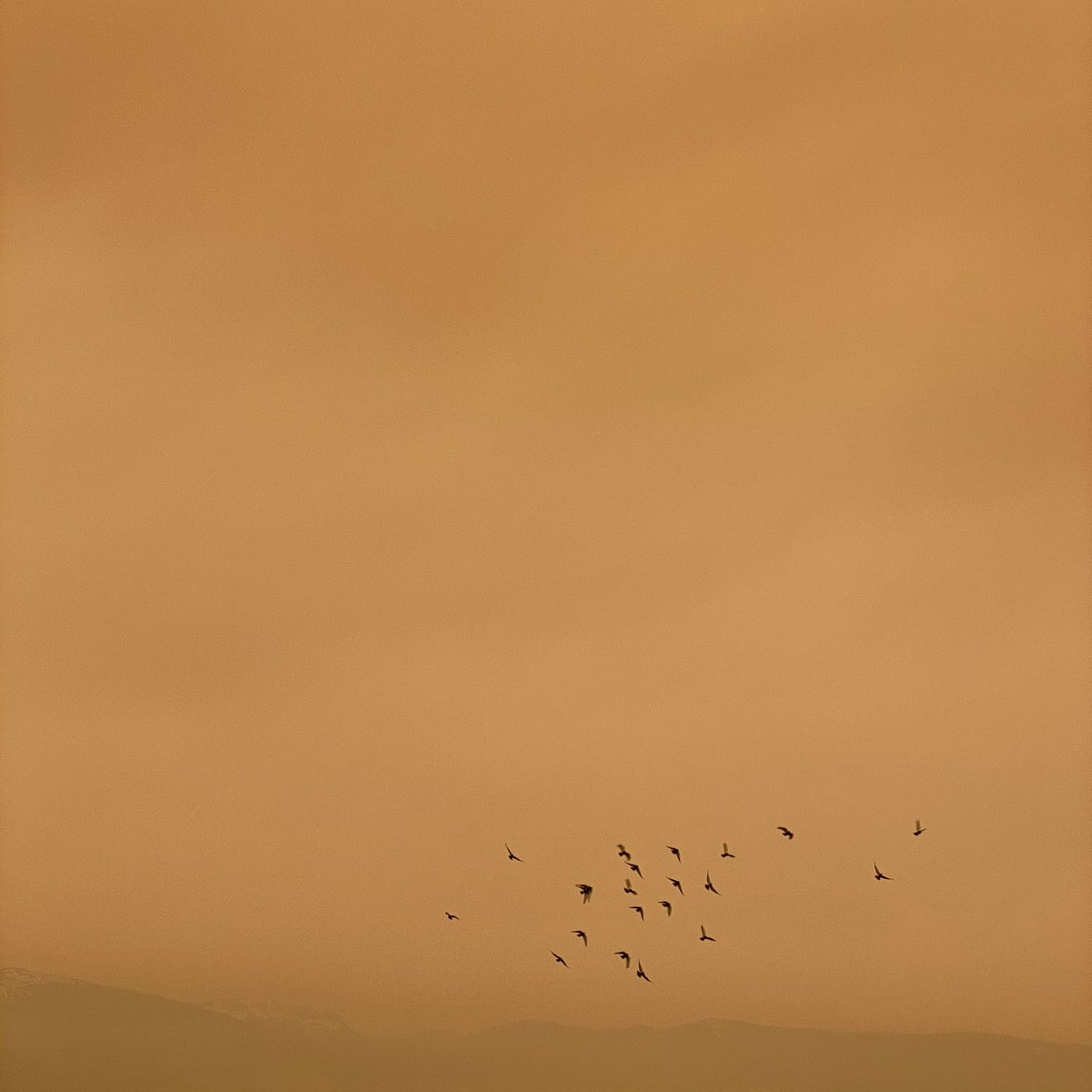 Philippe Gonzalez tweet media