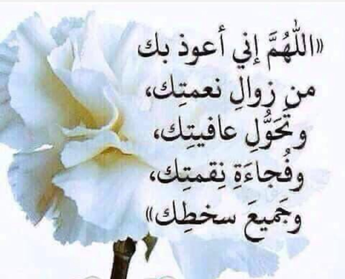 mzasdk's tweet photo. https://t.co/80QZhtZXeO