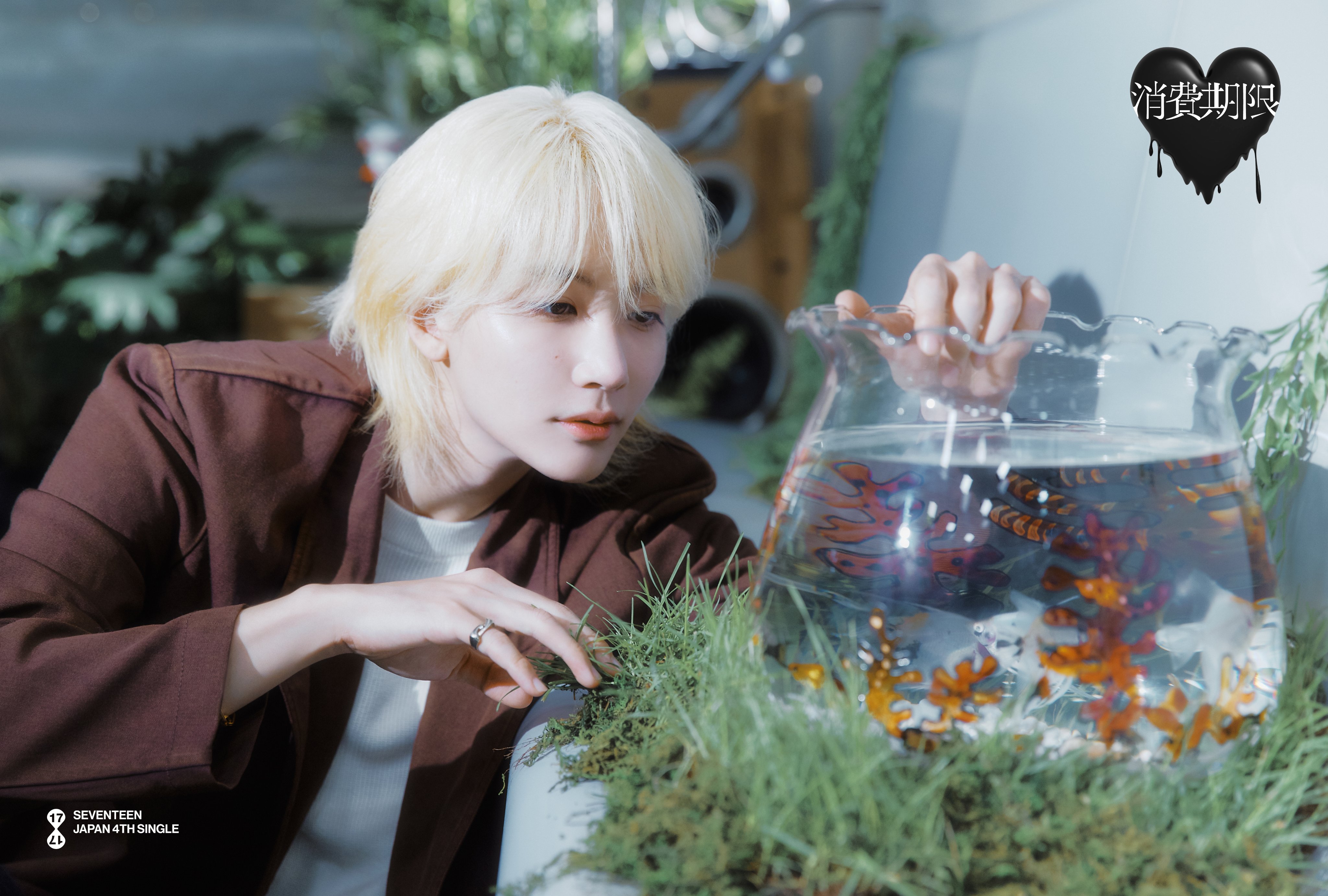 SEVENTEEN Japan on X: SEVENTEEN Japan on X: