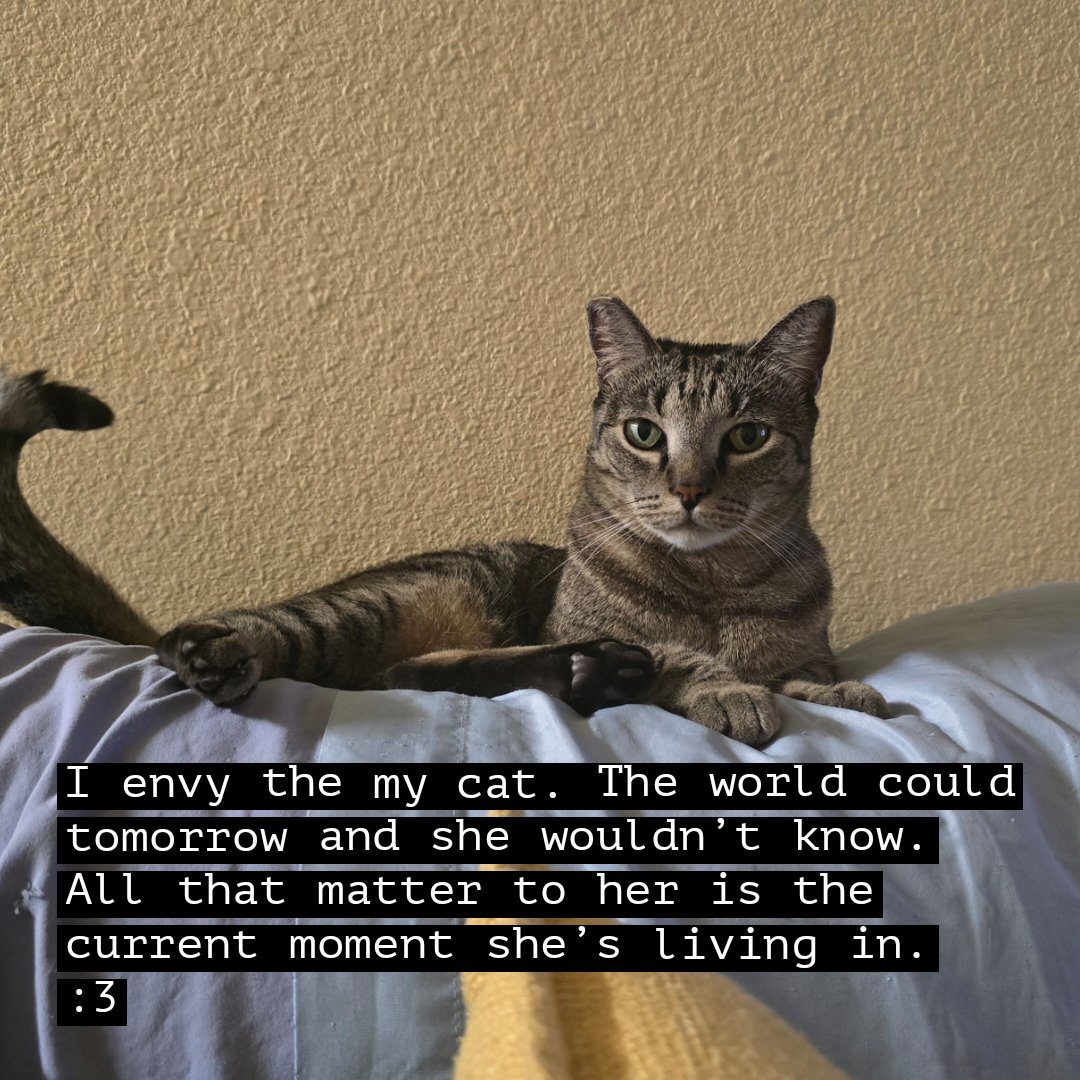 dusfive's tweet image. 