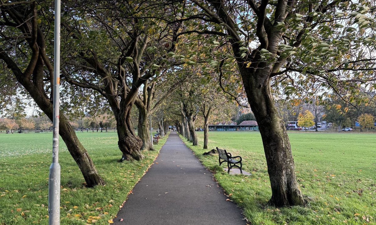 🚲 edi.bike | issue 66 | 11th Nov '24

In your weekly edinburgh cycling digest:

Active Travel Improvement Project Delays, Bikes for Refugees Gift 3000th Cycle, Route Issues, community updates and more…

buttondown.com/edi.bike/archi…