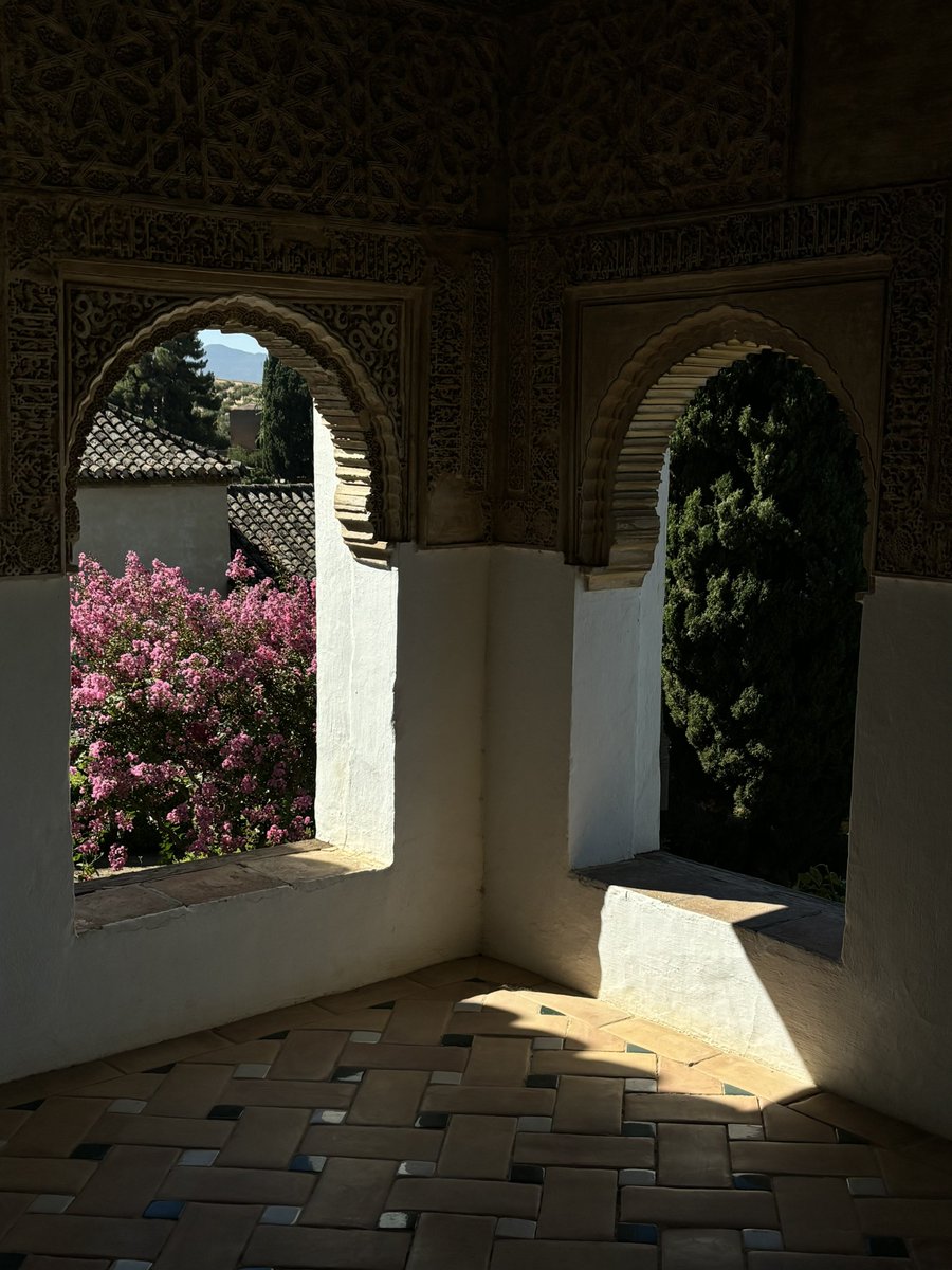 José Miguel tweet media