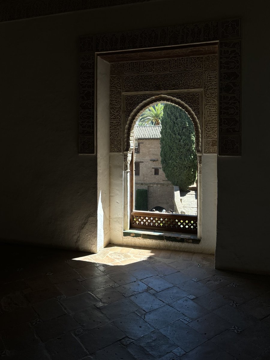 José Miguel tweet media