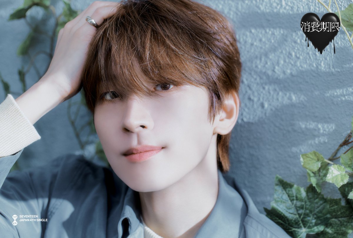 SEVENTEEN ウォヌ wonwoo サイン入り 生写真 消費期限 20d6bd06-d7f2