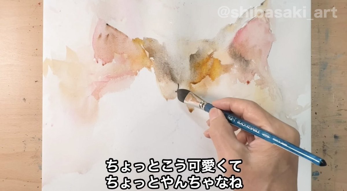 ファルシー(?)　絵