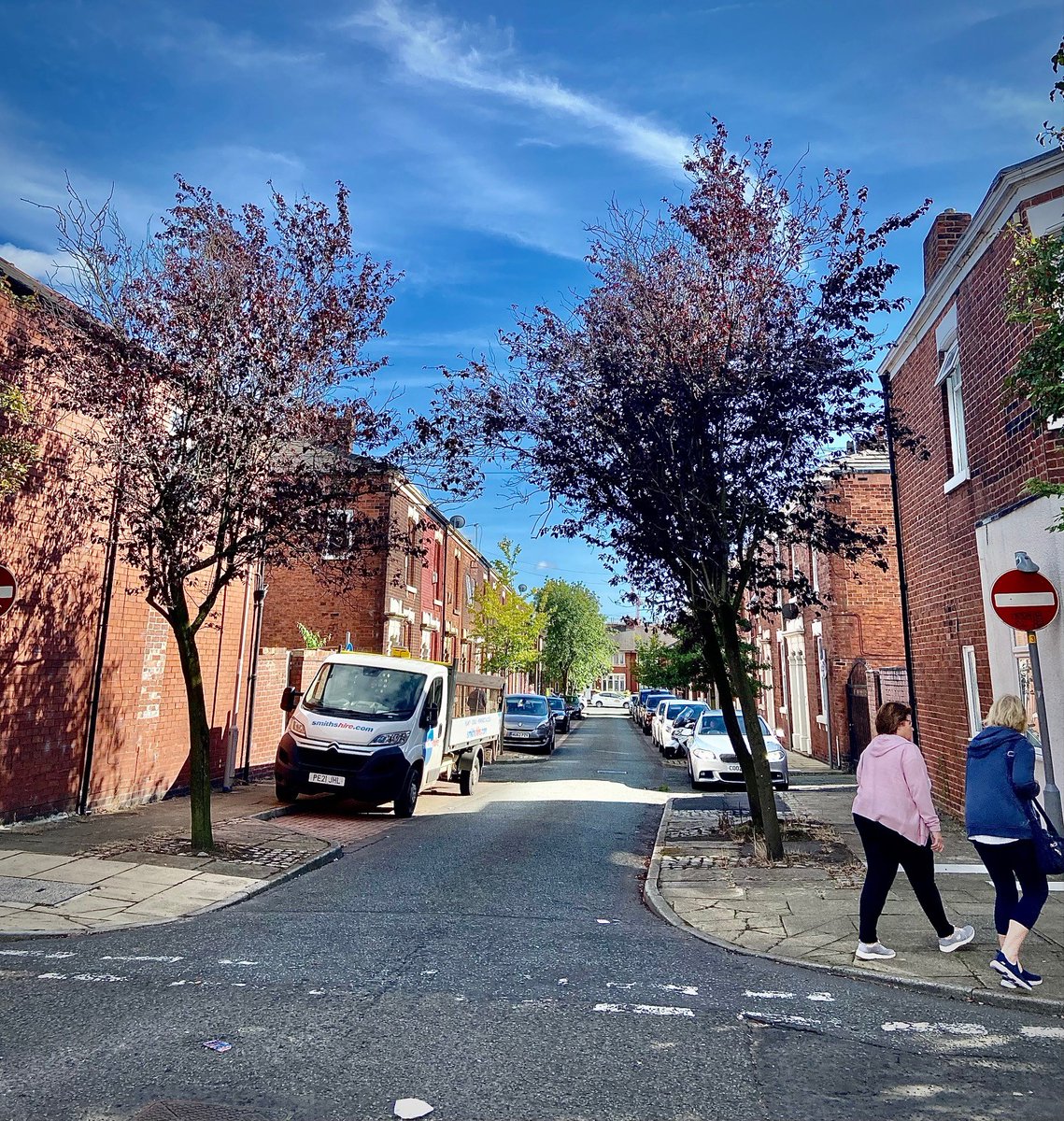 Trees for Streets tweet media