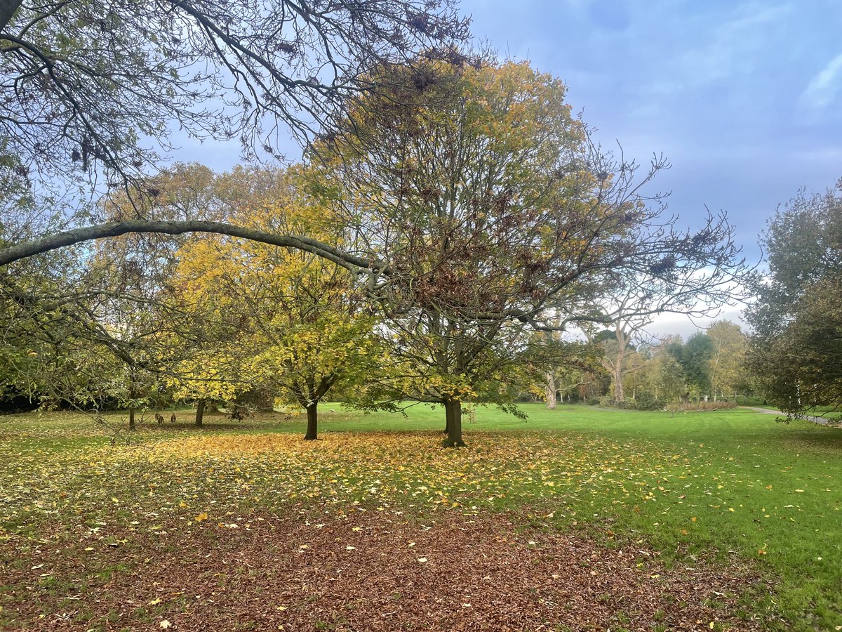 Rooftopvegplot's tweet image. ⁦@bbcweather⁩ A break in the clouds.  @regentspark