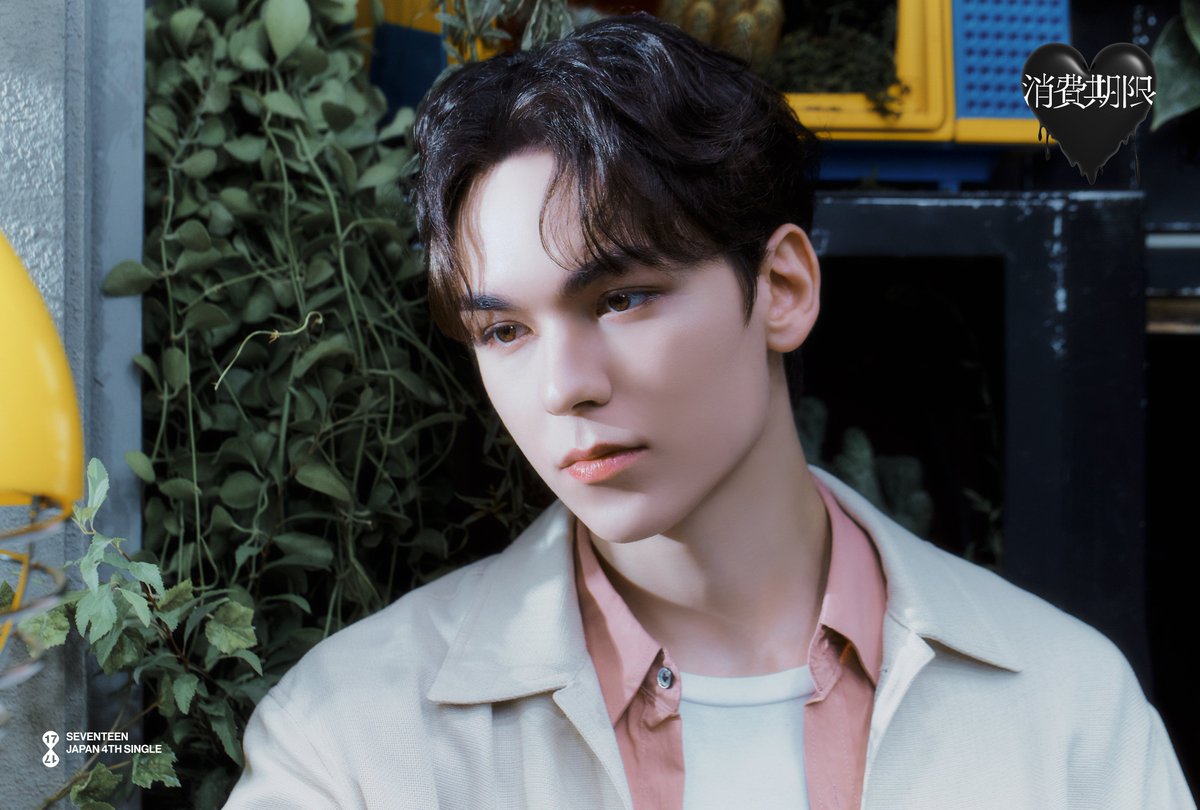 SEVENTEEN Japan tweet media
