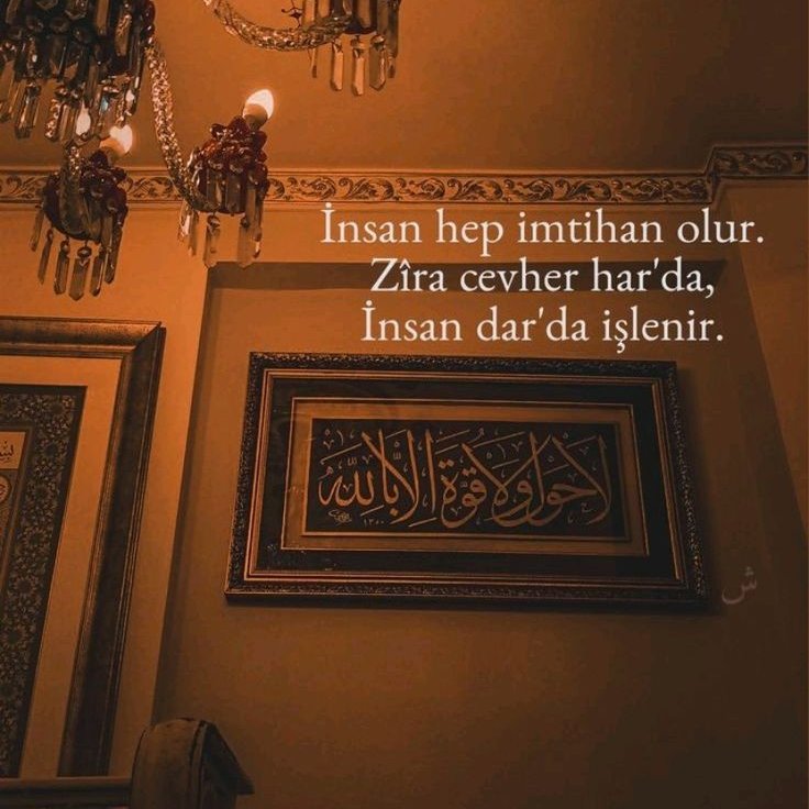 Monna Rosa (@ayaserenat) on Twitter photo 