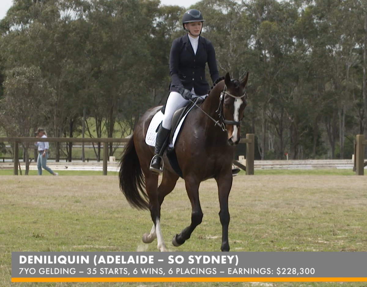 CaroSearcc's tweet image. So how long out of racing can a thoroughbred compete in dressage? Watch @ThoroughbredsG tonight at 7.30pm AEDST &amp;amp; hear from exceptional eventer Jade Findlay about the progress of Deniliquin from @thinkbigstud @SkyRacingAU ch 528 ❤️🐎🎥📺👍