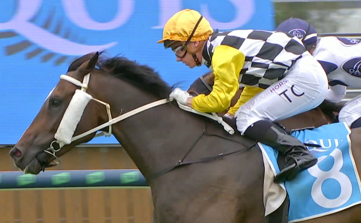 CaroSearcc's tweet image. So how long out of racing can a thoroughbred compete in dressage? Watch @ThoroughbredsG tonight at 7.30pm AEDST &amp;amp; hear from exceptional eventer Jade Findlay about the progress of Deniliquin from @thinkbigstud @SkyRacingAU ch 528 ❤️🐎🎥📺👍