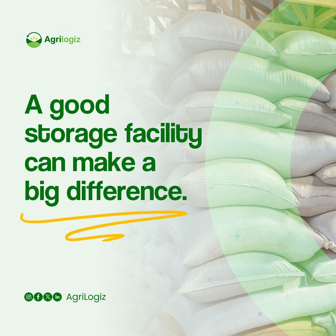 agrilogiz's tweet image. Providing adequate storage facilities for your goods always increases the shelf life and integrity of the product.

Particularly if it's to be transported over a long distance.

Taking extra effort investing in this would make all the difference.

#agrilogiz #productstorage