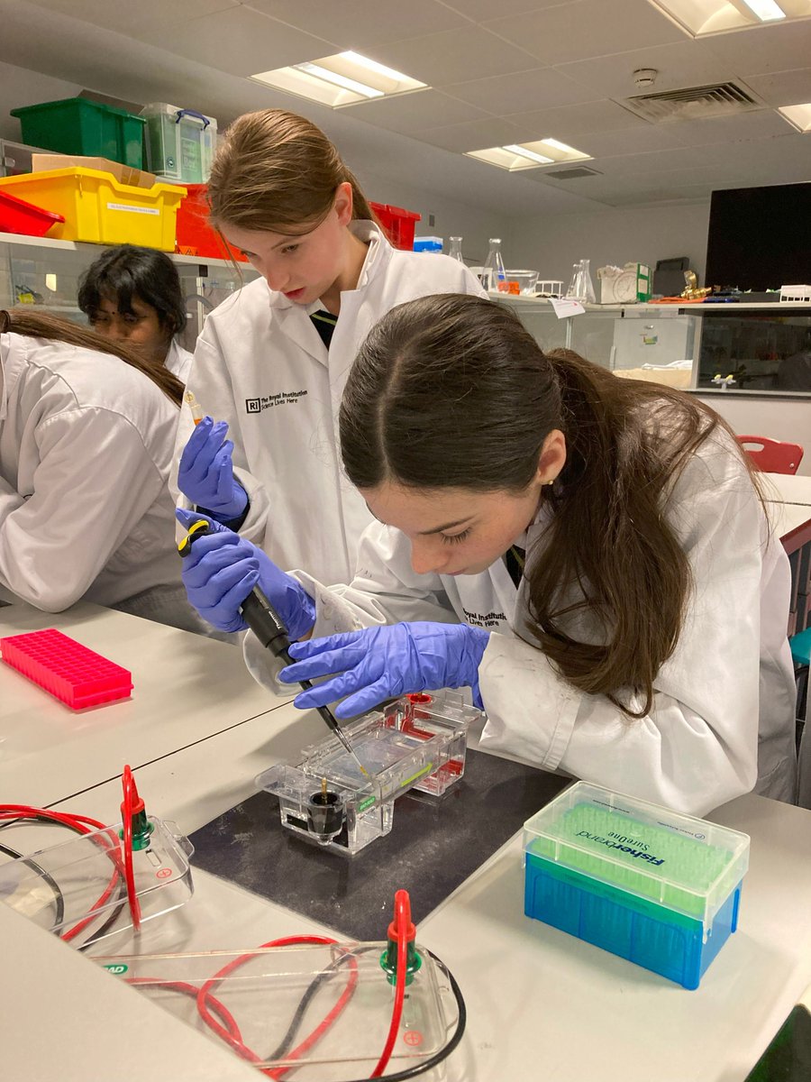Croydon High School (@croydonhigh) on Twitter photo A group of Year 10 pupils went on a visit to the <a href="/Ri_Science/">Royal Institution</a> in London, where we took part in an incredible Young Scientist experience. croydonhigh.gdst.net/2024/11/forens…
#AspireWithoutLimits
#EveryGirlEveryDay
#FemalesinSTEM
#ForensicScience A group of Year 10 pupils went on a visit to the <a href="/Ri_Science/">Royal Institution</a> in London, where we took part in an incredible Young Scientist experience. croydonhigh.gdst.net/2024/11/forens…
#AspireWithoutLimits
#EveryGirlEveryDay
#FemalesinSTEM
#ForensicScience