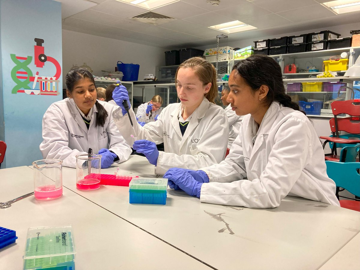 Croydon High School tweet media