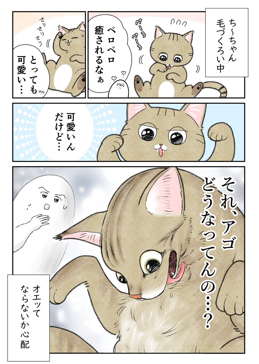 ネコの毛づくろいに思うこと 