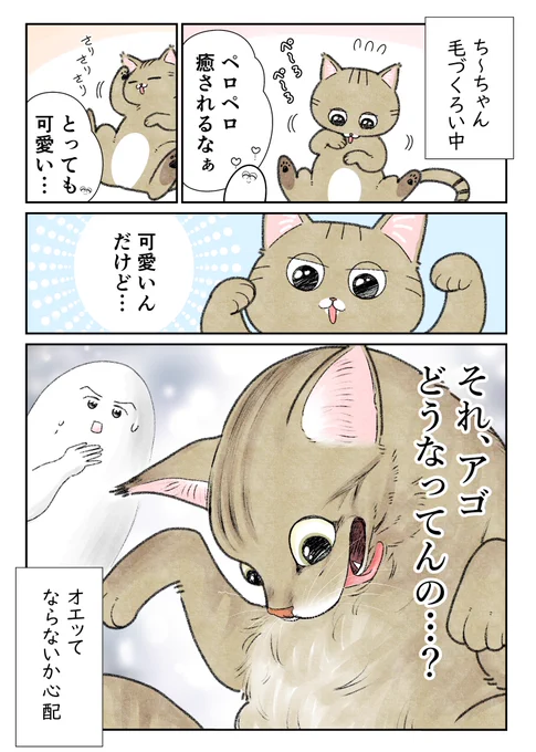 ネコの毛づくろいに思うこと 