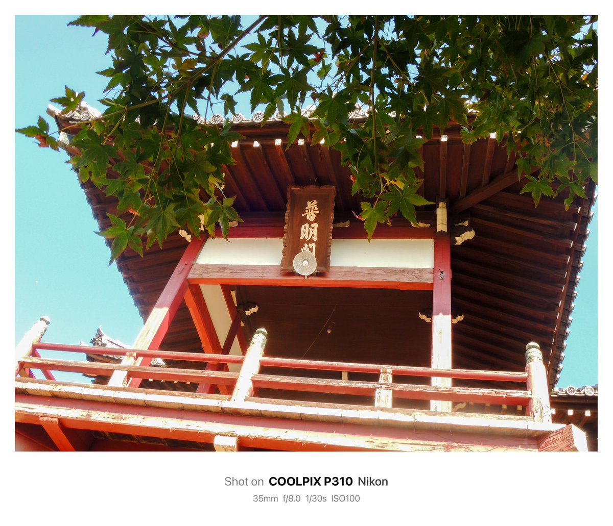 1028_hnd's tweet image. お疲れ様でした

#Nikon #Coolpix #P310 
#オールドコンデジ
#竹原市