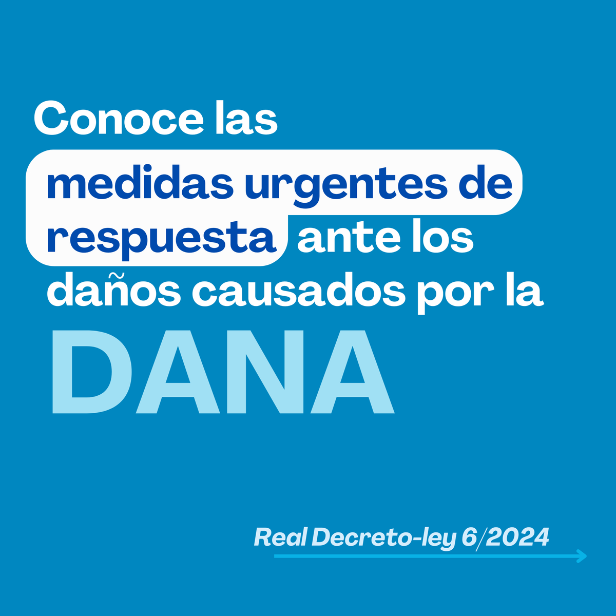 Fundación Globalis tweet media