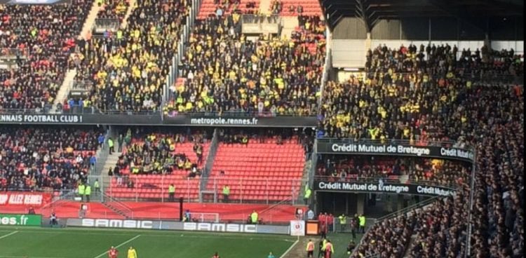 BarbaPapaBZH's tweet photo. Visiblement la canari n’a aucune mémoire, c’était à la mi temps d’un derby mdr https://t.co/2h6gcjTAIU
