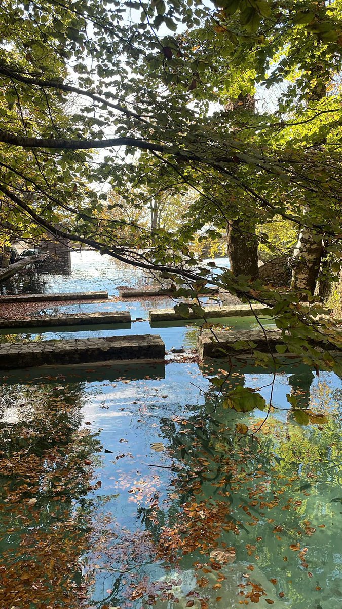 EszterEsztero's tweet image. Good morning and a happy new week 😊🌾🍂🫶🍂🍁#NewWeek  #newdestination