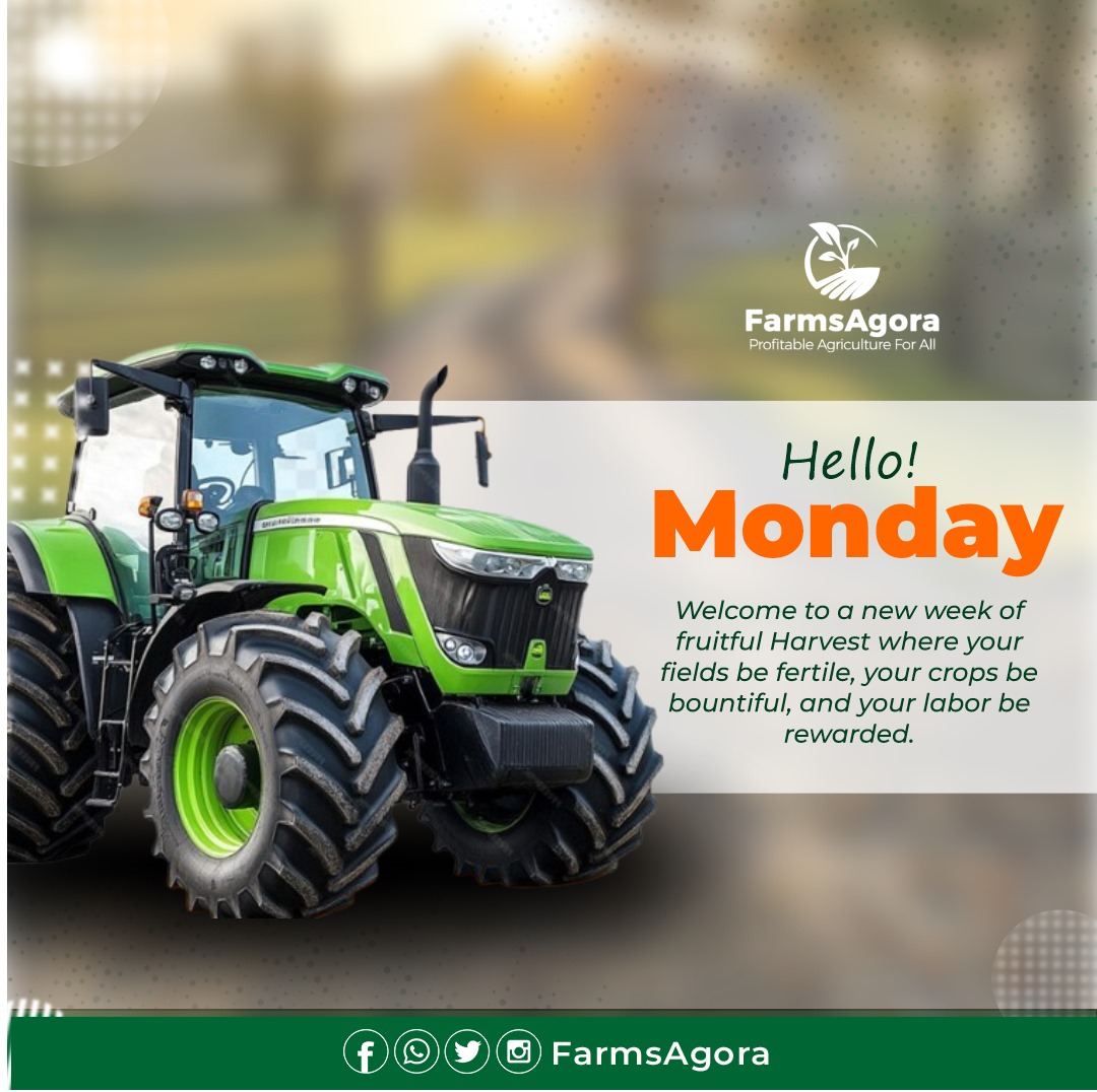 FarmsAgora's tweet photo. Welcome to a new week filled with promise! 🌱 May your fields be fertile, your crops bountiful, and your hard work richly rewarded.

Here's to growth, resilience, and the endless possibilities each new week brings! 

#Agriculture #NewWeekNewGoals #HarvestHopes https://t.co/rId6Z2IfW5