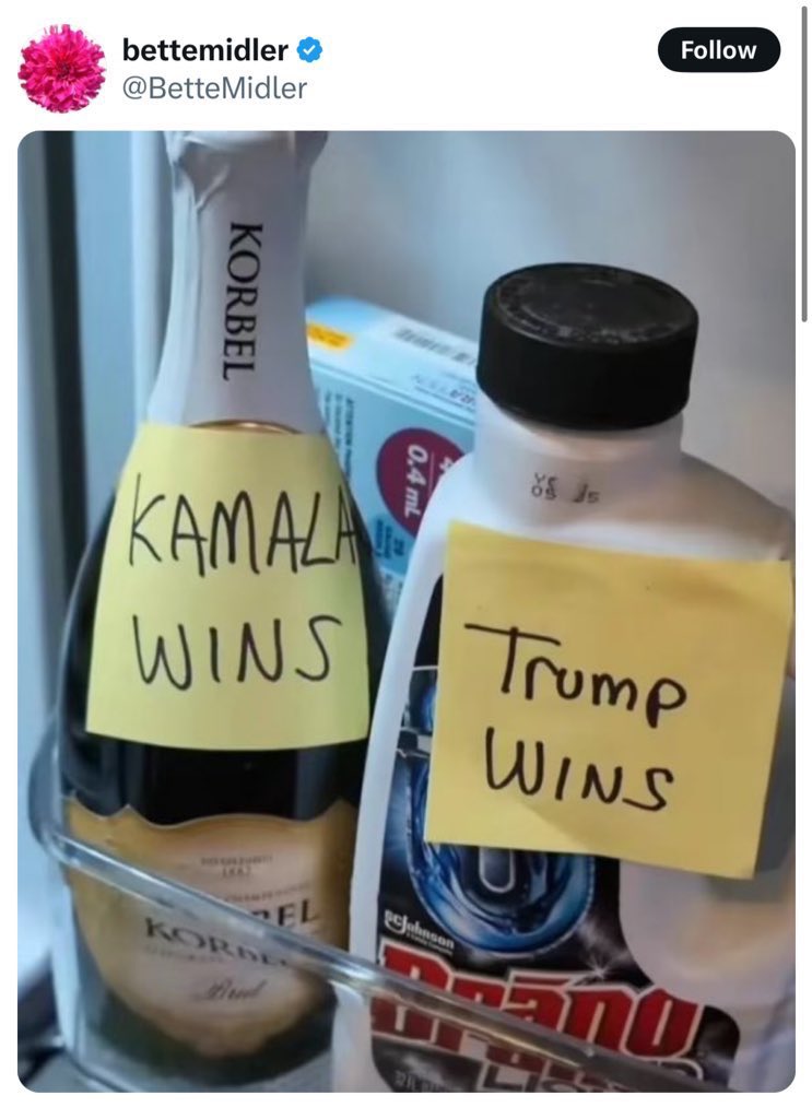 ColvinKevinJ's tweet photo. So it would appear that @bettemidler #BetteMidler deleted her @X account, I hope she didn’t drink the #Drano and that is ok, we may disagree politically, but she was always one of my favorite actresses growing up. Turns out, maybe she needs to grow up https://t.co/1ZV6Y4iSj0