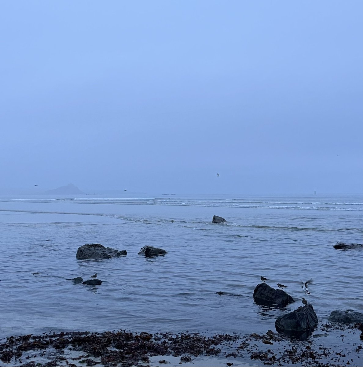 Morning! #Cornwall follow me on BlueSky! @ruthgarside.bsky.social