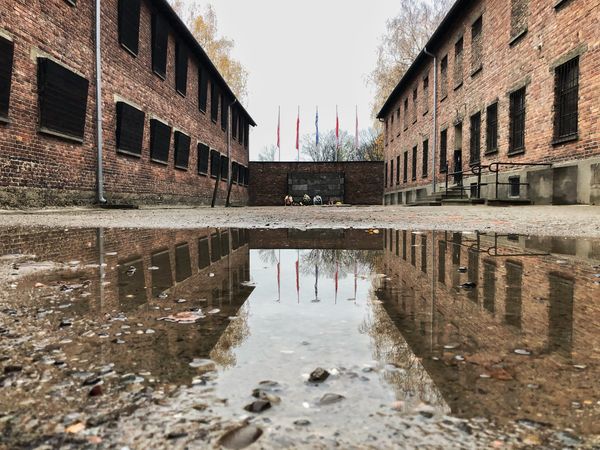 Auschwitz Memorial tweet media