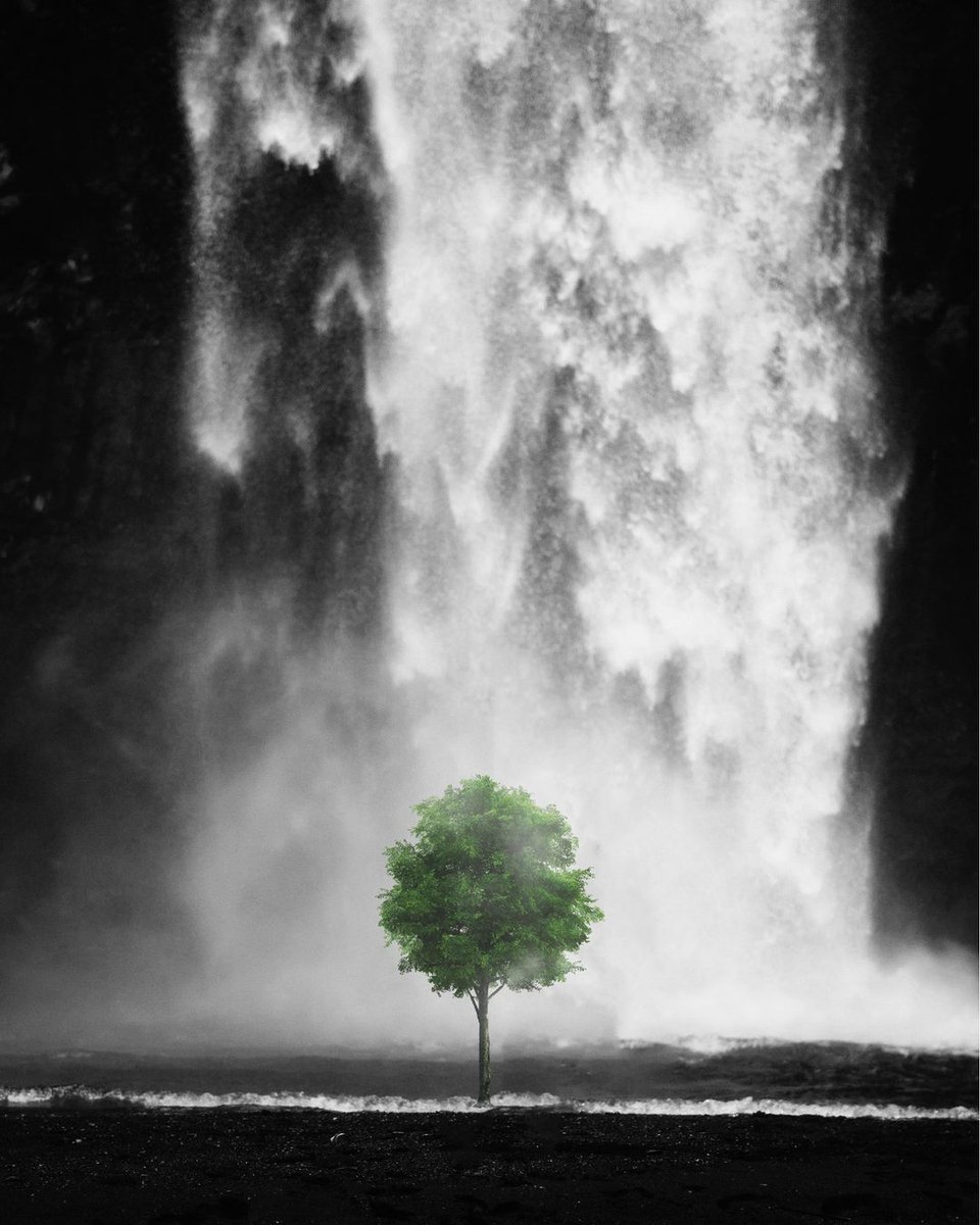 BappyBishwajit's tweet photo. Even beneath the weight of the world, hope finds a way to rise.
#ResilientHope #StrengthInAdversity https://t.co/a2fEfUXxYa