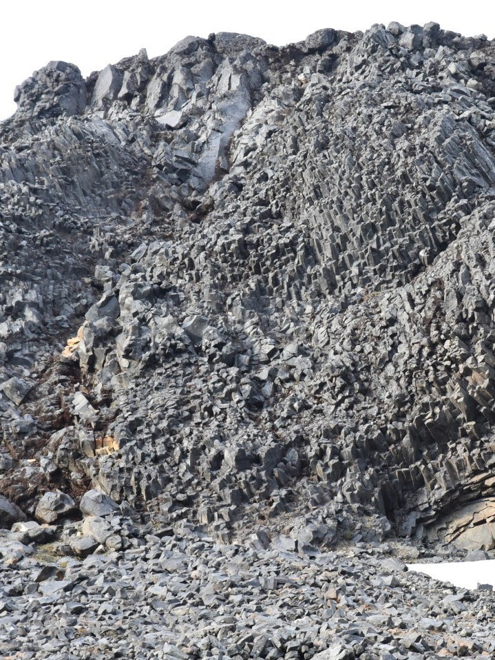 Chris Conway tweet media