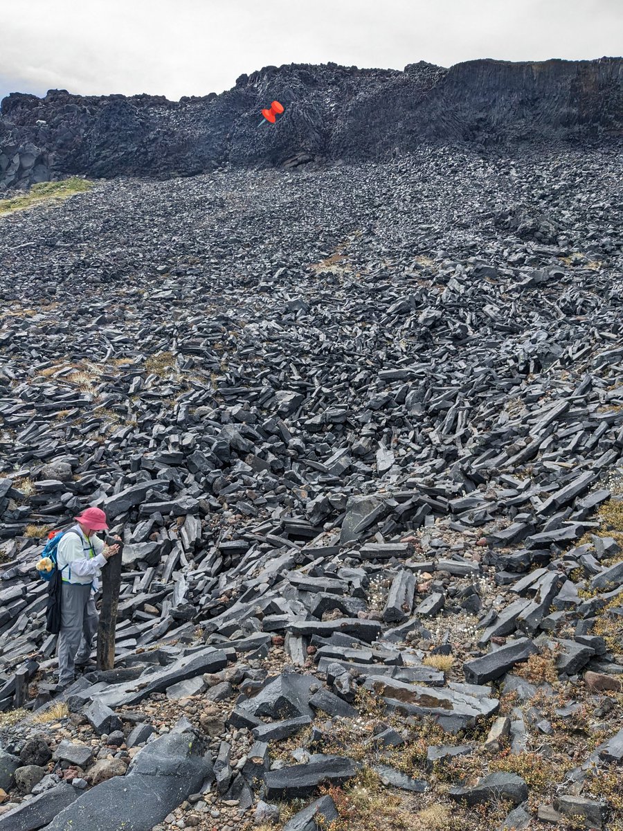 Chris Conway tweet media