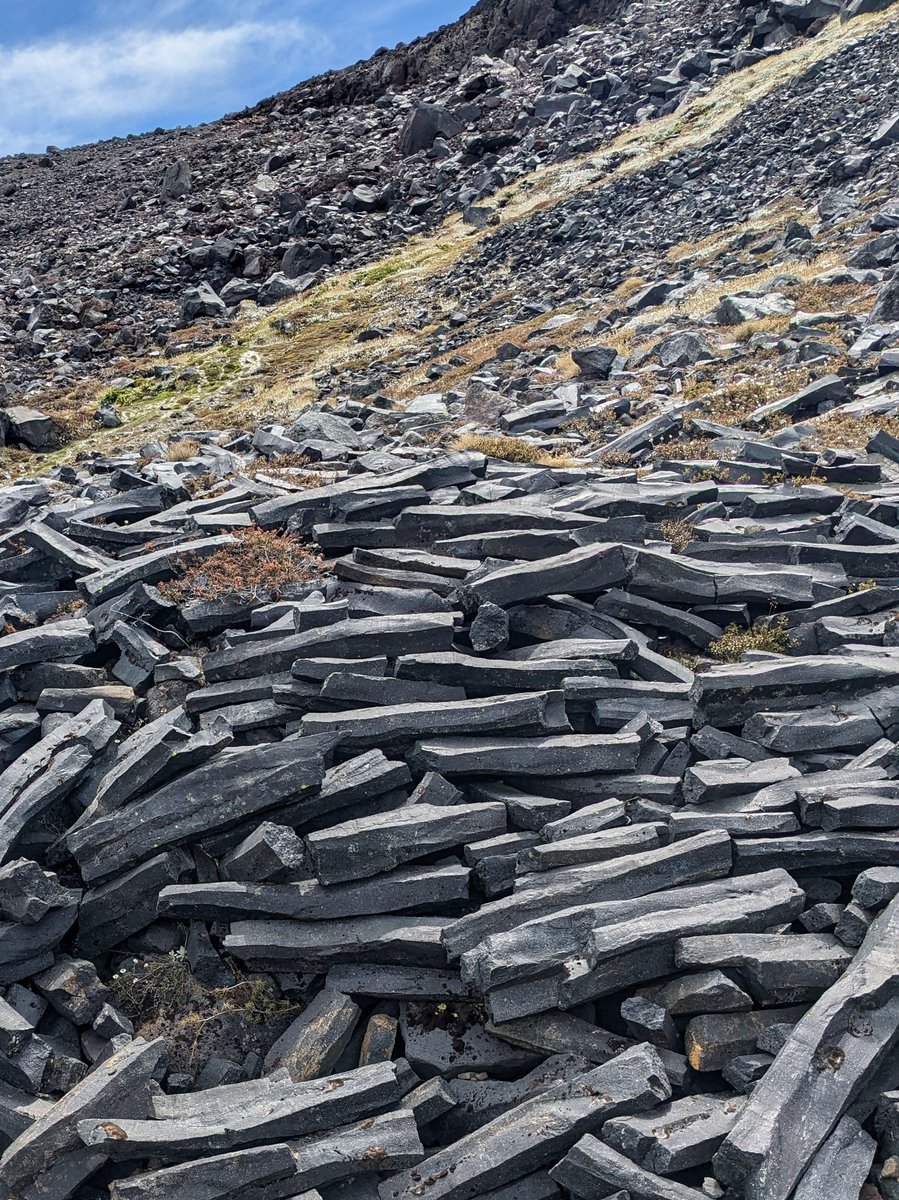 Chris Conway tweet media