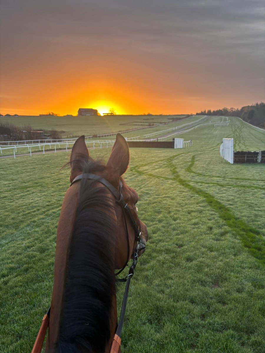 PFNicholls's tweet image. Kalif Du Berlais ⁦@Nparker92⁩ surveying the view ⁦@CarlisleRaces⁩ 🤞🤞
