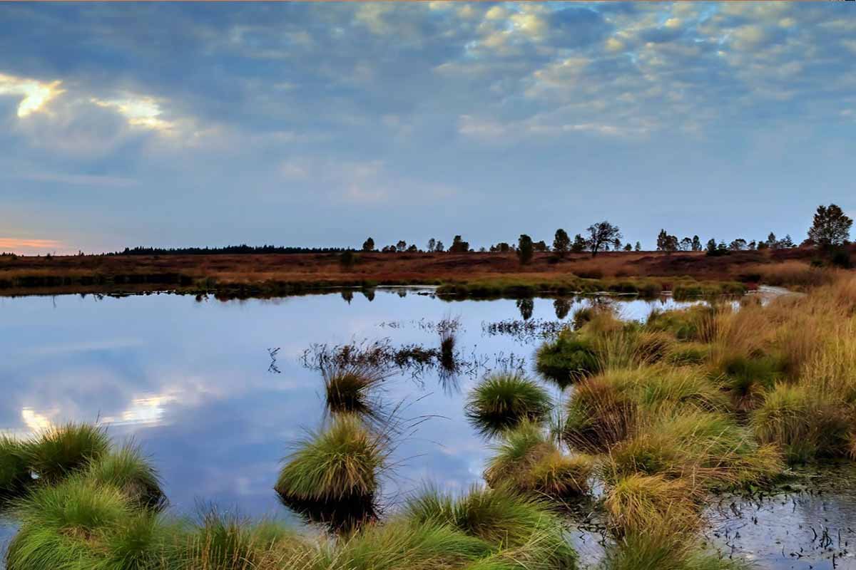 • How China Could Now Become a Green Superpower 

• Why Biden’s progress on #water regulations will likely dry up under Trump 

• How gophers brought Mount St. Helens back to life in one day

Details in “This Week in Water” from H2O Radio!  bit.ly/3CzL6tn