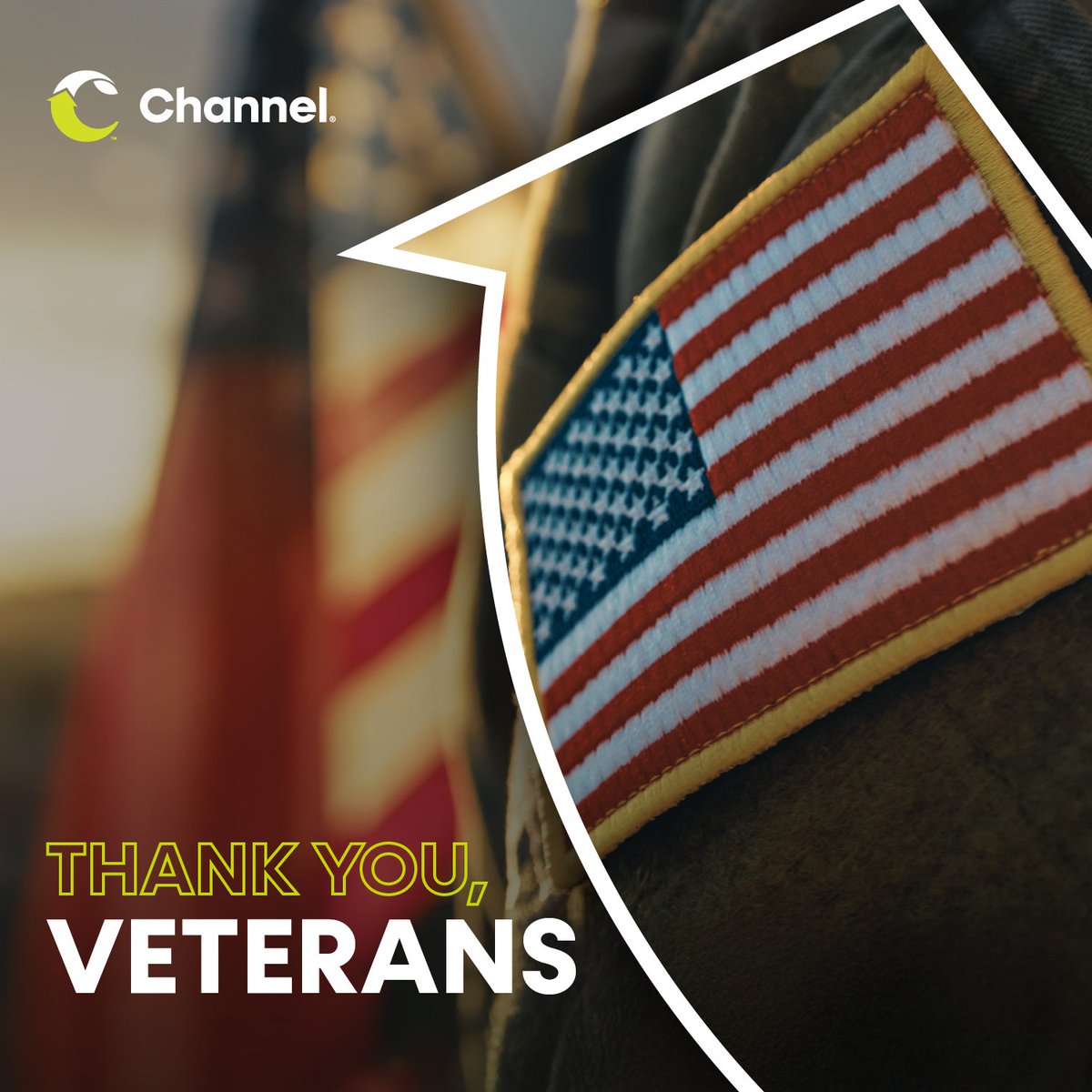 Honoring the bravery, dedication, and sacrifices of our veterans today and every day. 🇺🇸 Thank you for protecting the land we call home. #VeteransDay #ChannelSeed