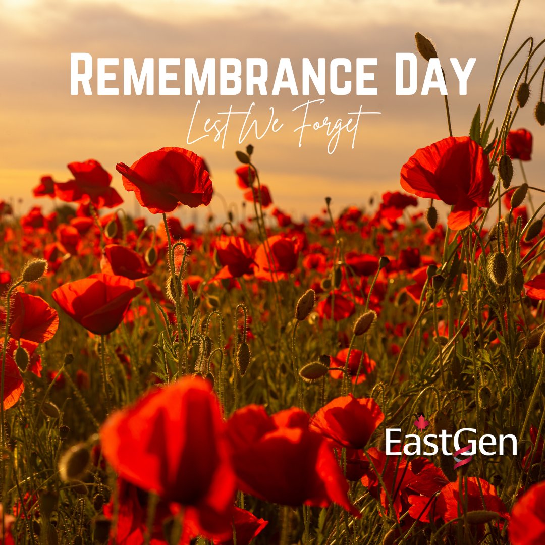We will remember them.

Lest We Forget.