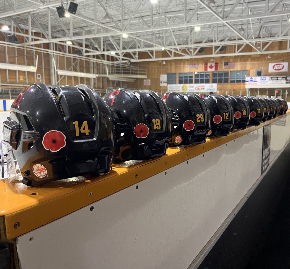 Today, we pause to honor and remember the brave men and women who have served and sacrificed for our freedom.

On this Remembrance Day, the Golden Rockets extend our heartfelt gratitude to those in our community and beyond who have served and continue to serve. We are forever ind